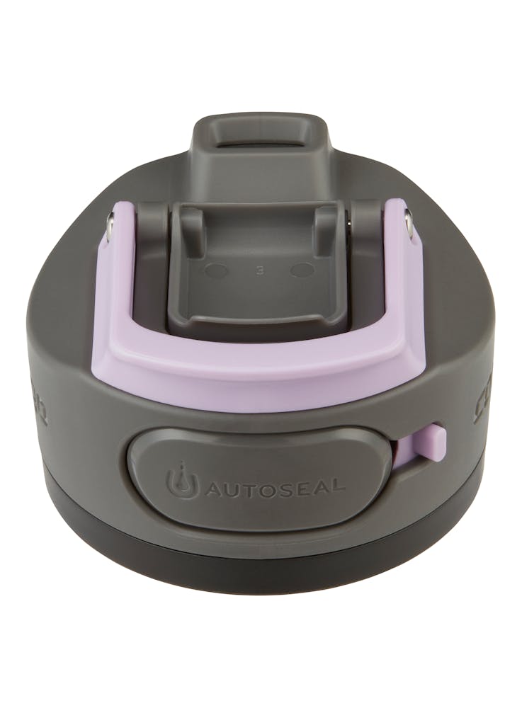 Contigo® Cortland Chill 2.0 Stainless Steel Water Bottle with AUTOSEAL® Lid, 24oz - Lavender